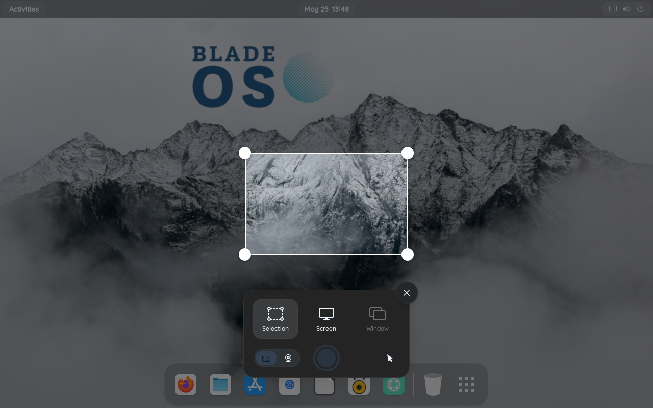 Capture Menu